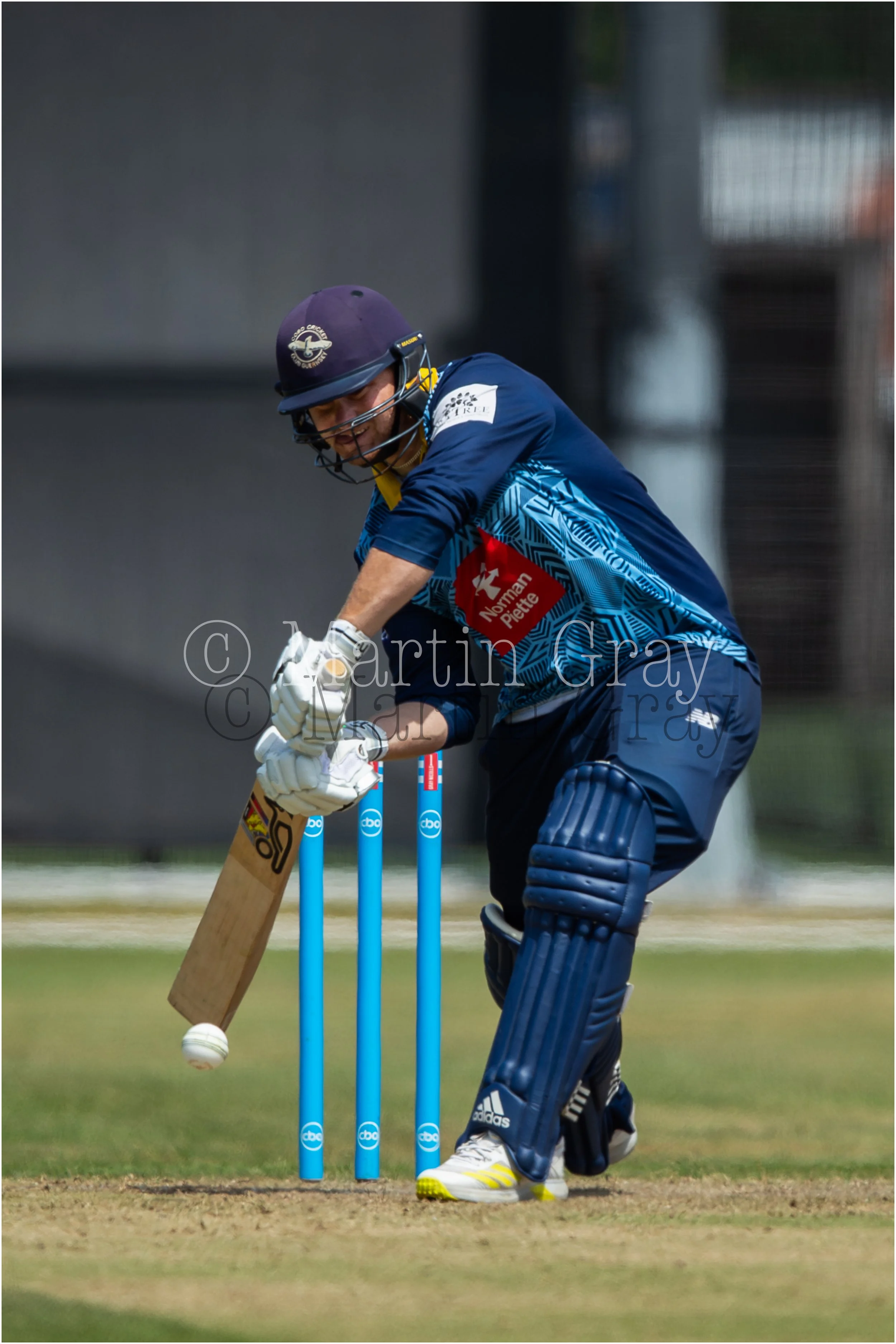 Josh Butler-8909.jpg