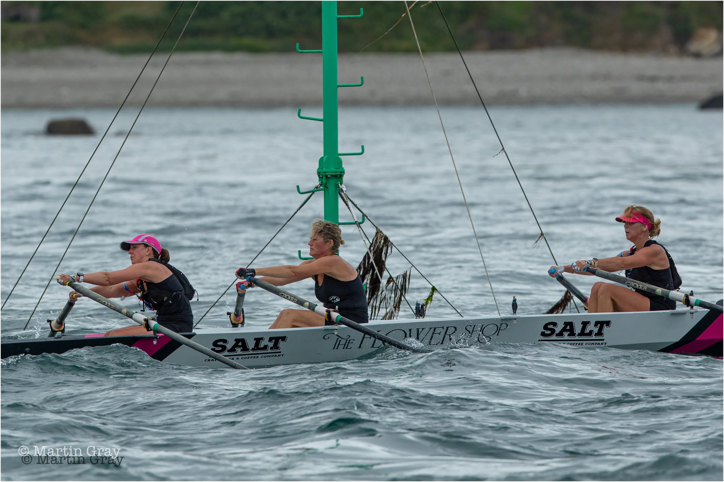 81 The Sea Pinks-5432.jpg