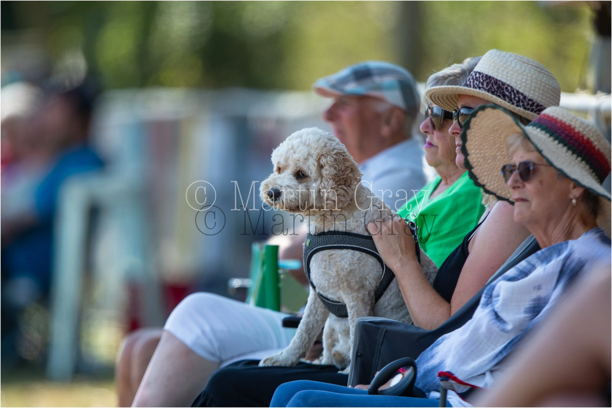 Guernsey v Sweden ICC CWC Q Semi Final-0970.jpg