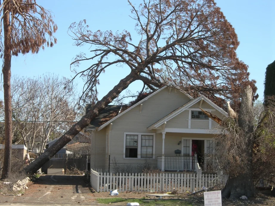Coastal Arbor Care LLC gallery 7