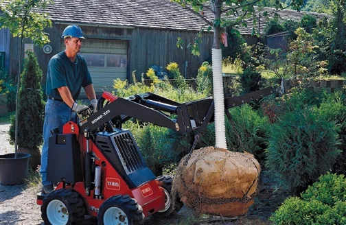 Coastal Arbor Care LLC gallery 6