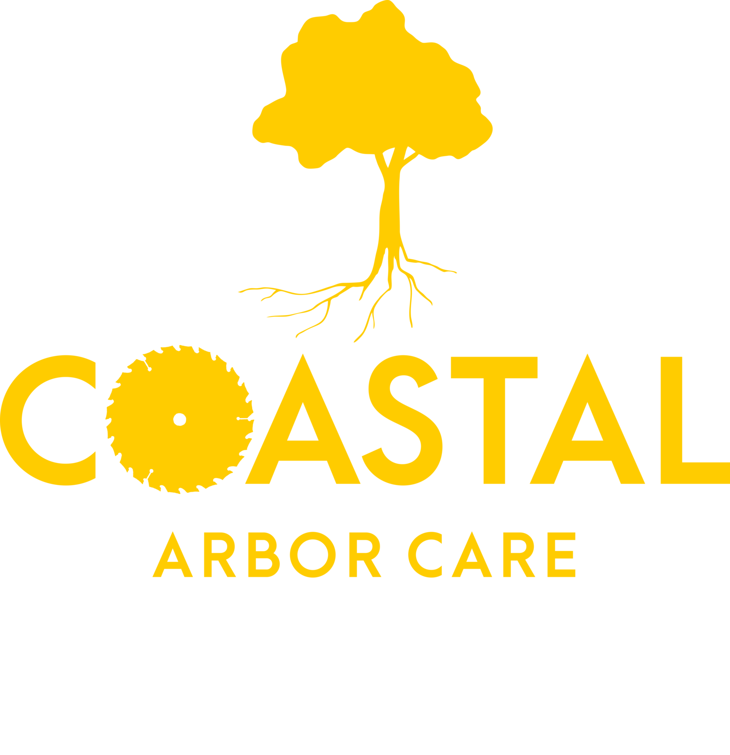 Coastal Arbor Care (912) 272-0175