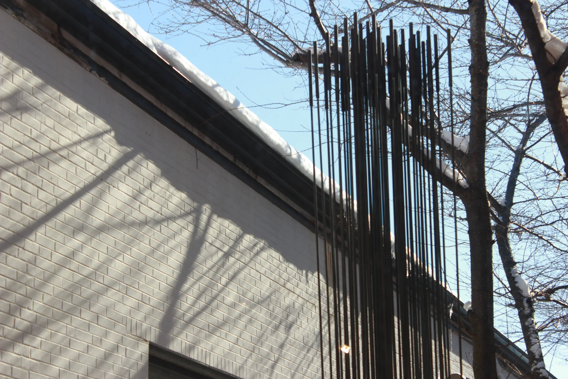 root system (for Harry Bertoia)