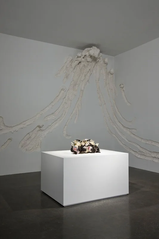 plasterroom_install2_FO.jpg