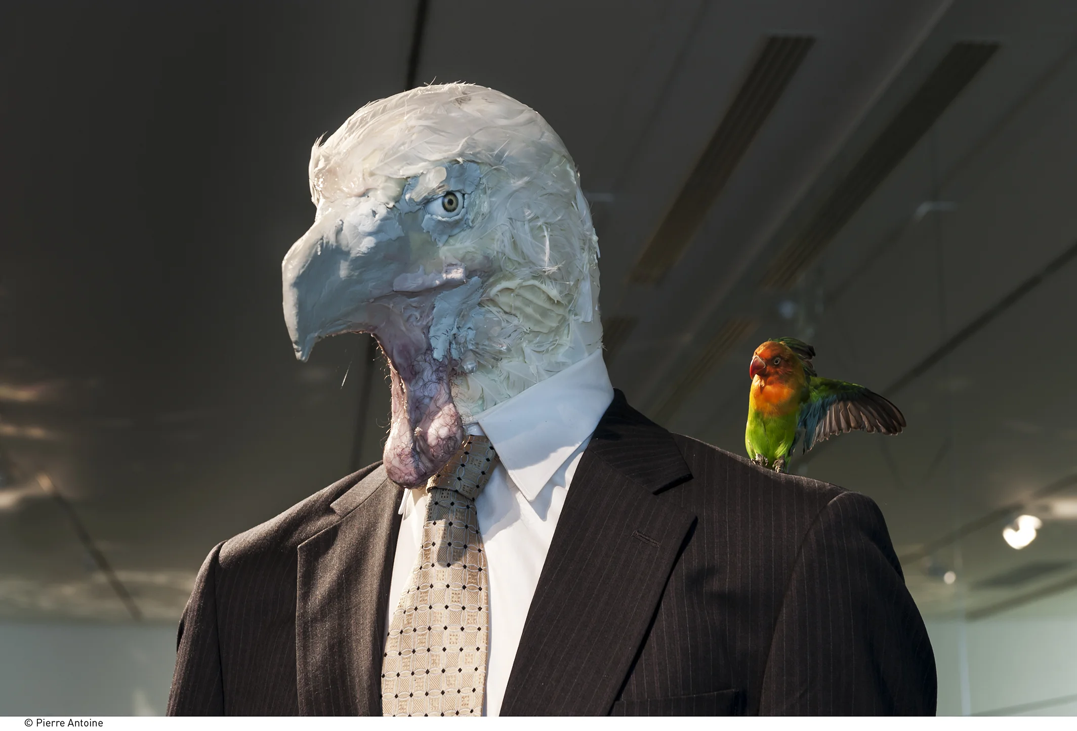 David-Altmejd_MAMVP_0269.jpg