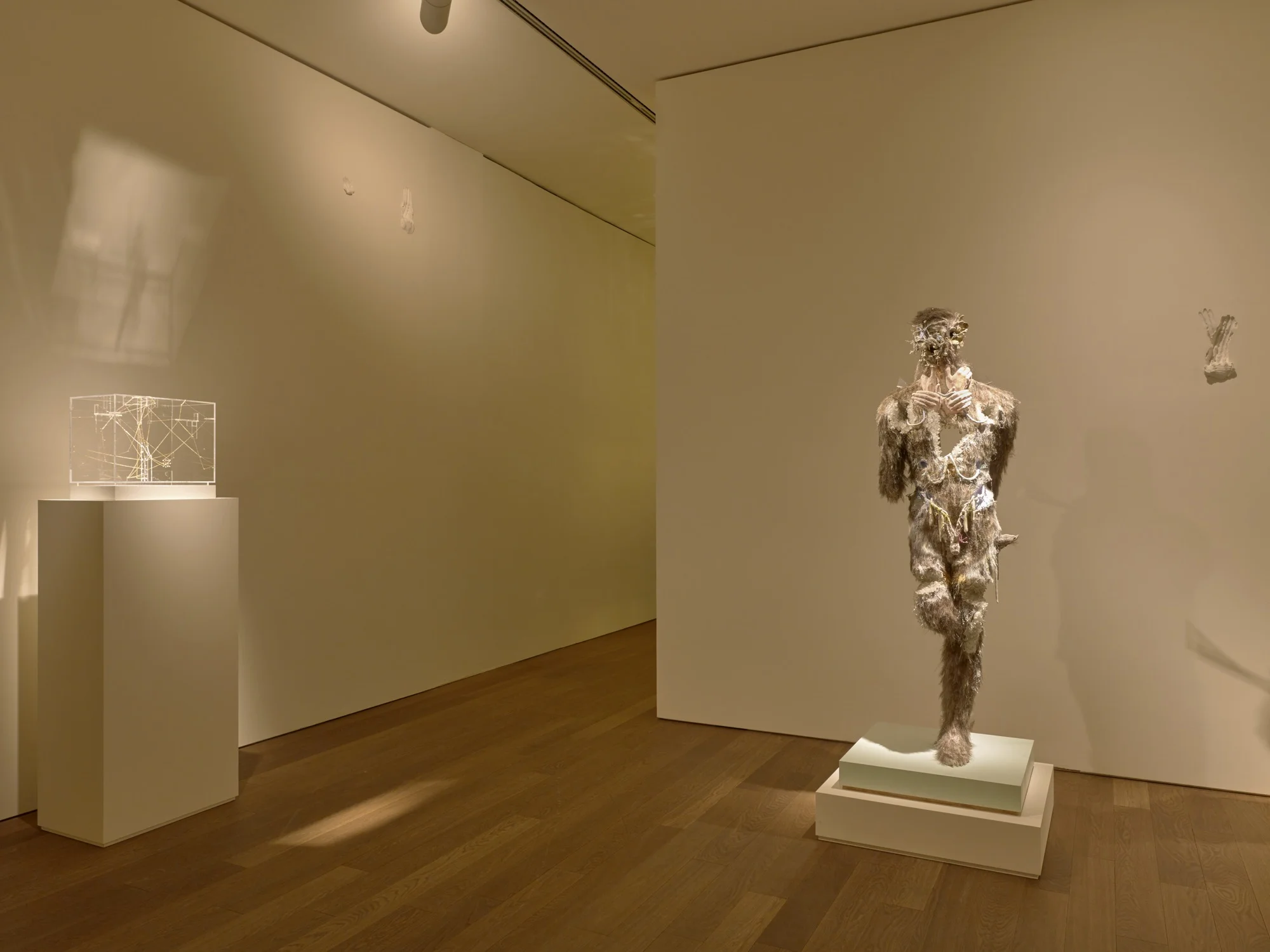 5 - Mudam_David Altmejd_10032015_017.jpg