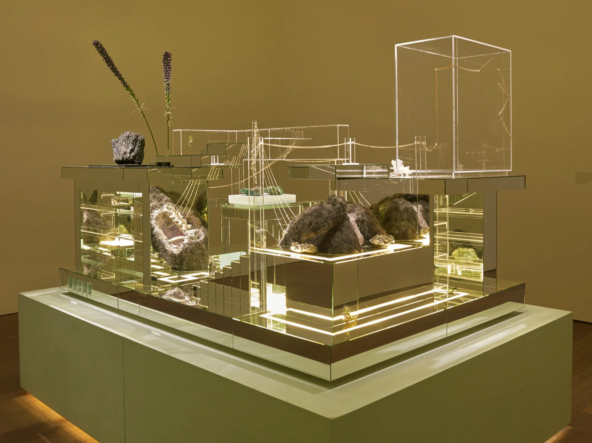 7 - Mudam_Altmejd_24032015_077.jpg