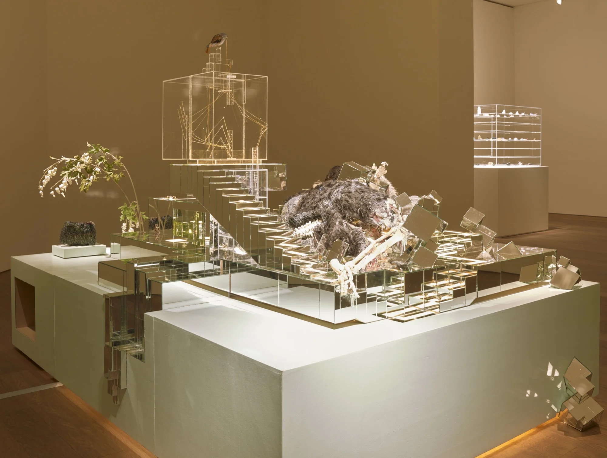 11 - Mudam_Altmejd_24032015_072.jpg
