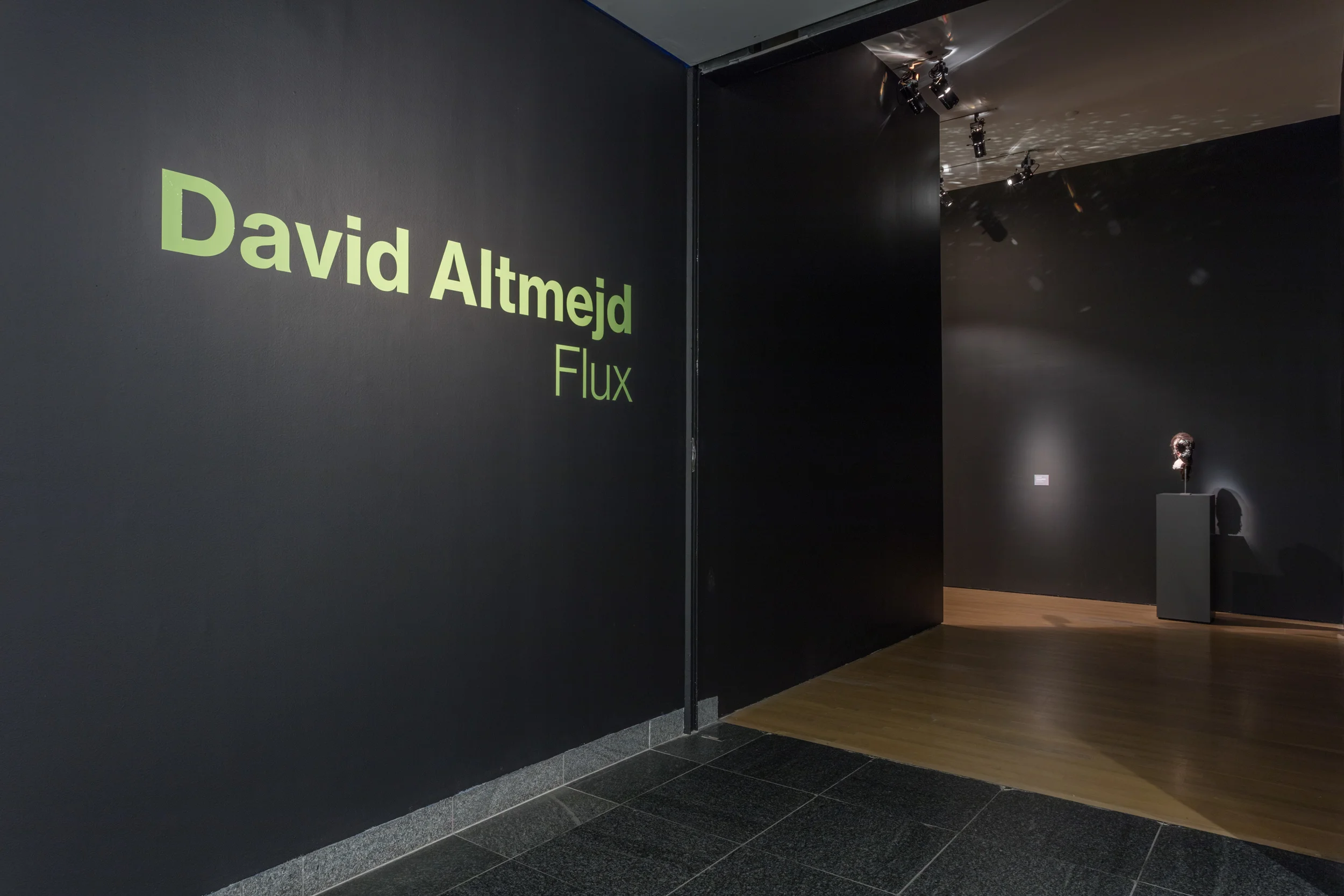 002_2015 MUSEE_D_ART_CONTEMPORAIN_DE_MOTREAL_RICHARD_MAX_TREMBLAY.jpg