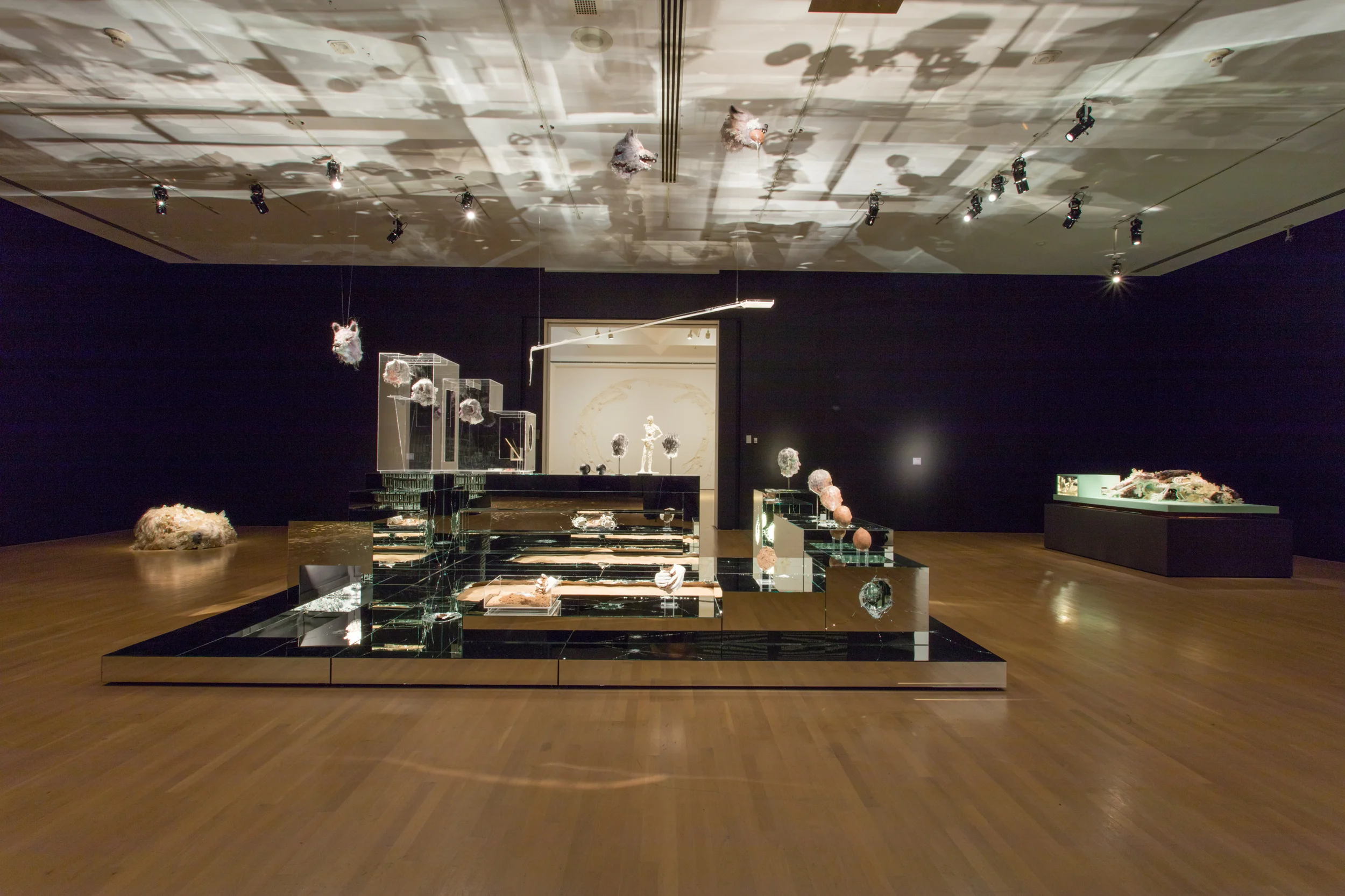 009_2015 MUSEE_D_ART_CONTEMPORAIN_DE_MOTREAL_RICHARD_MAX_TREMBLAY.jpg