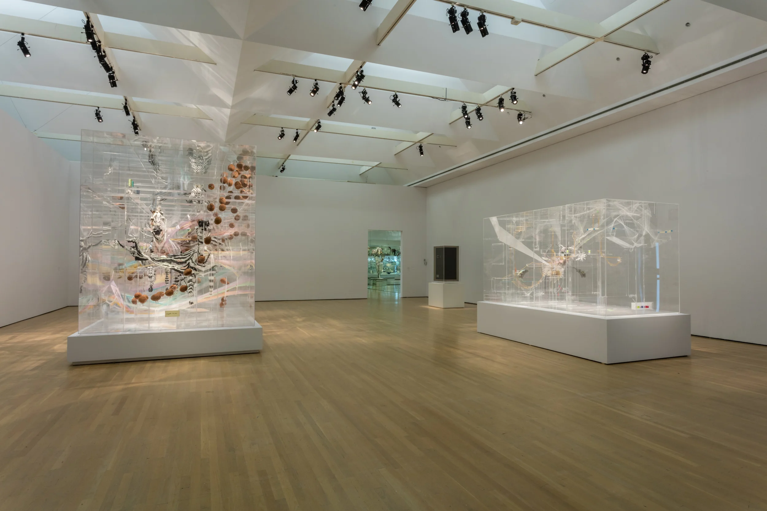 060_2015 MUSEE_D_ART_CONTEMPORAIN_DE_MOTREAL_RICHARD_MAX_TREMBLAY.jpg