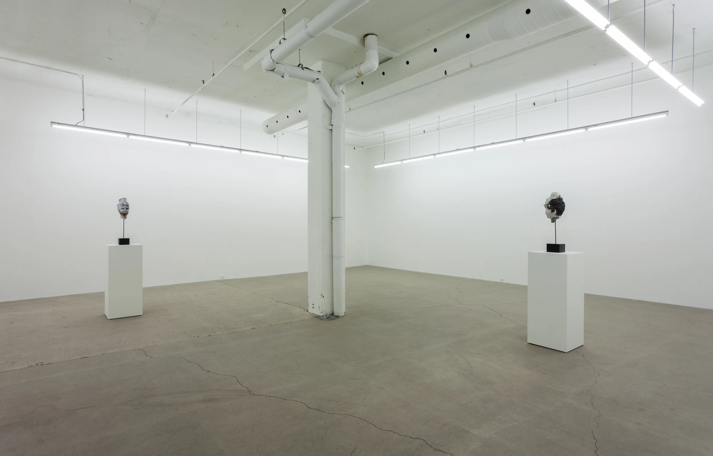 2015 - Galerie Rene Blouin - David_Altmejd_12.jpg