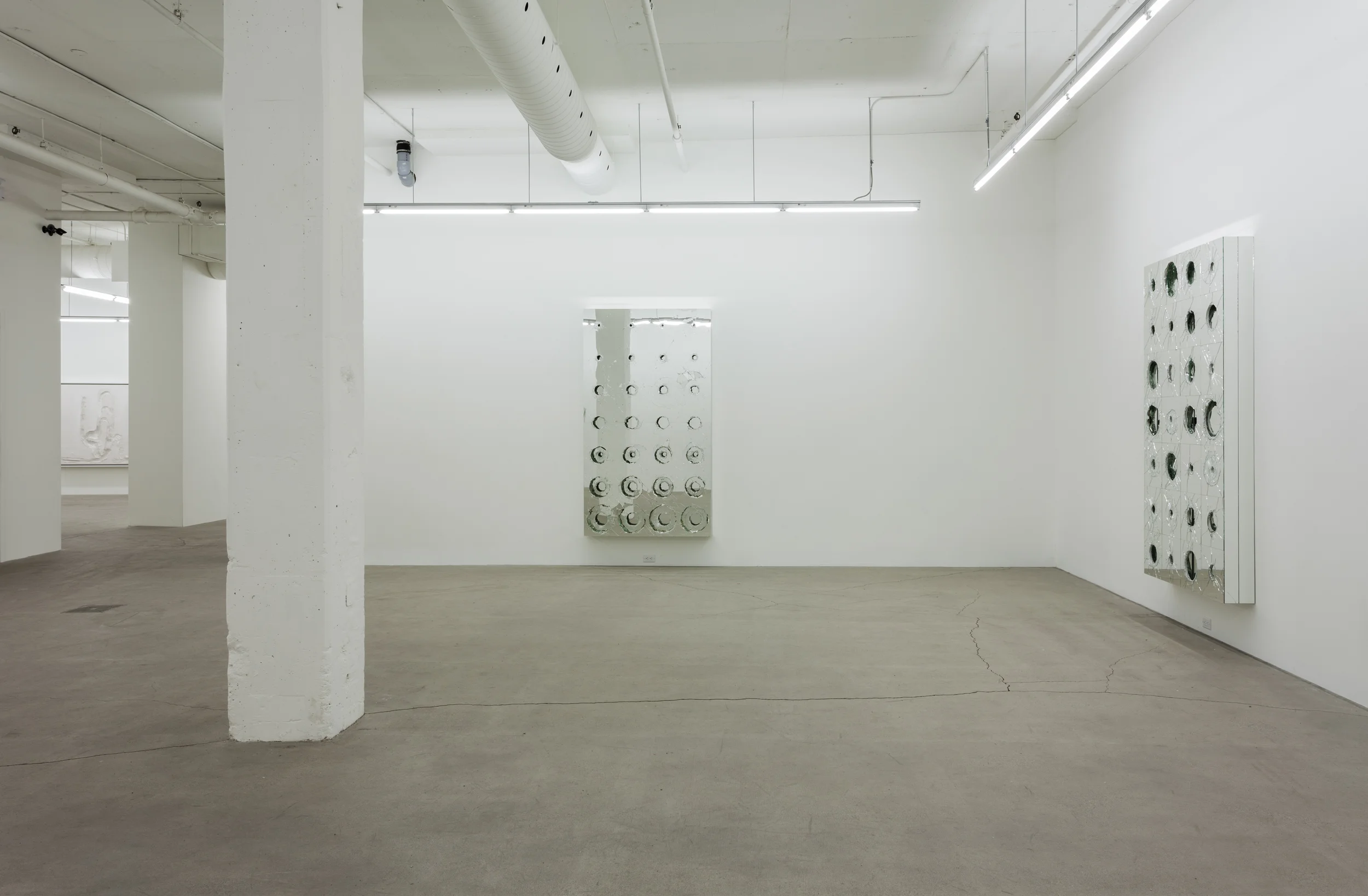 2015 - Galerie Rene Blouin - David_Altmejd_36.jpg