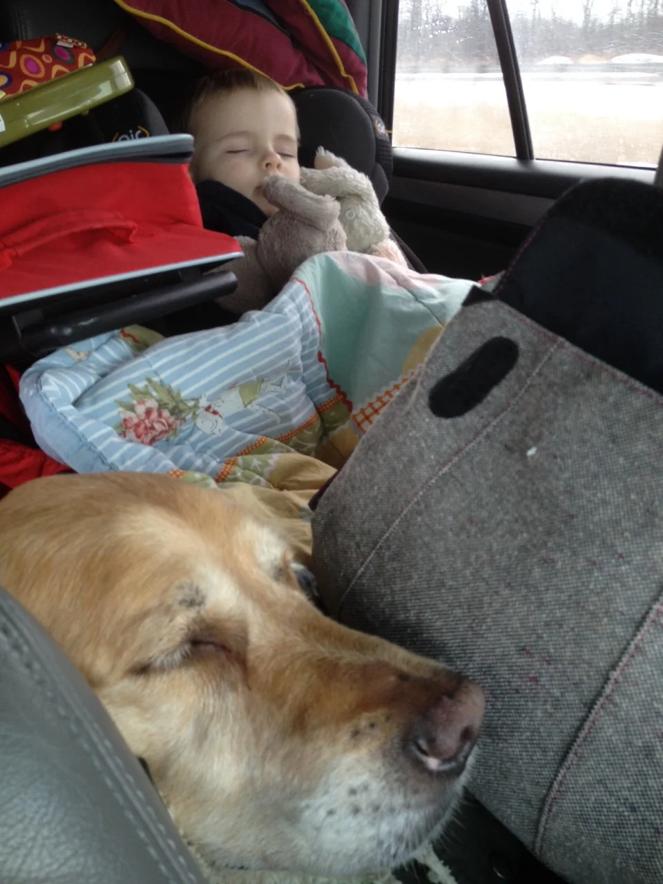 Sarnia, Ontario - The kids are sleeping, we are about to cross into the USA and it’s a beautiful day.