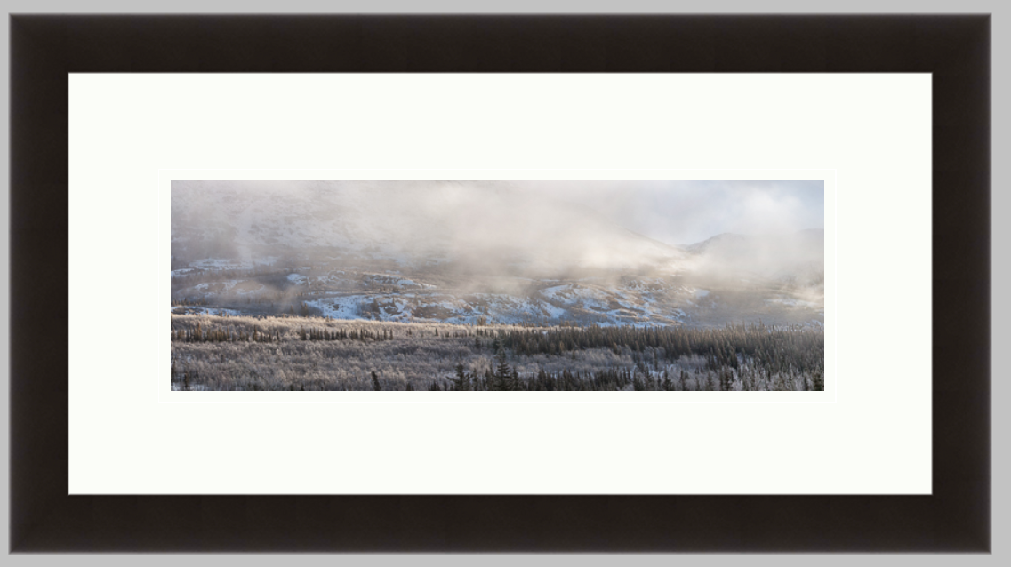Mountain Panoramic, 10" X 20" black frame, 5" X 10" print with a double white mat. $160