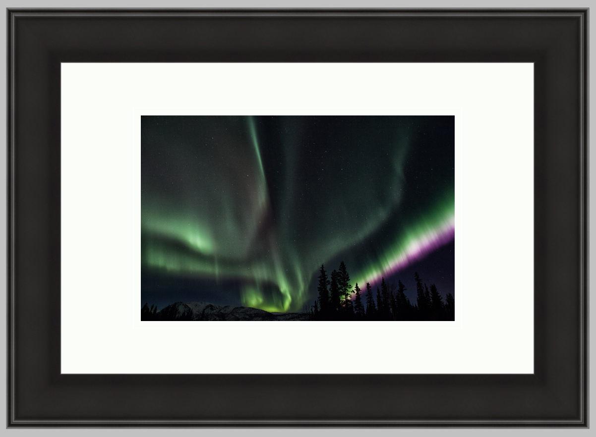 Northern Lights, 12" X 18" frame with an 8" X 12" print and a double white mat. $160