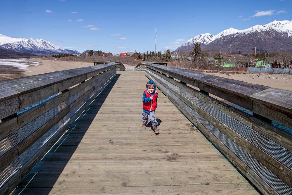 ckgalloway-carcross-8073-5993.jpg