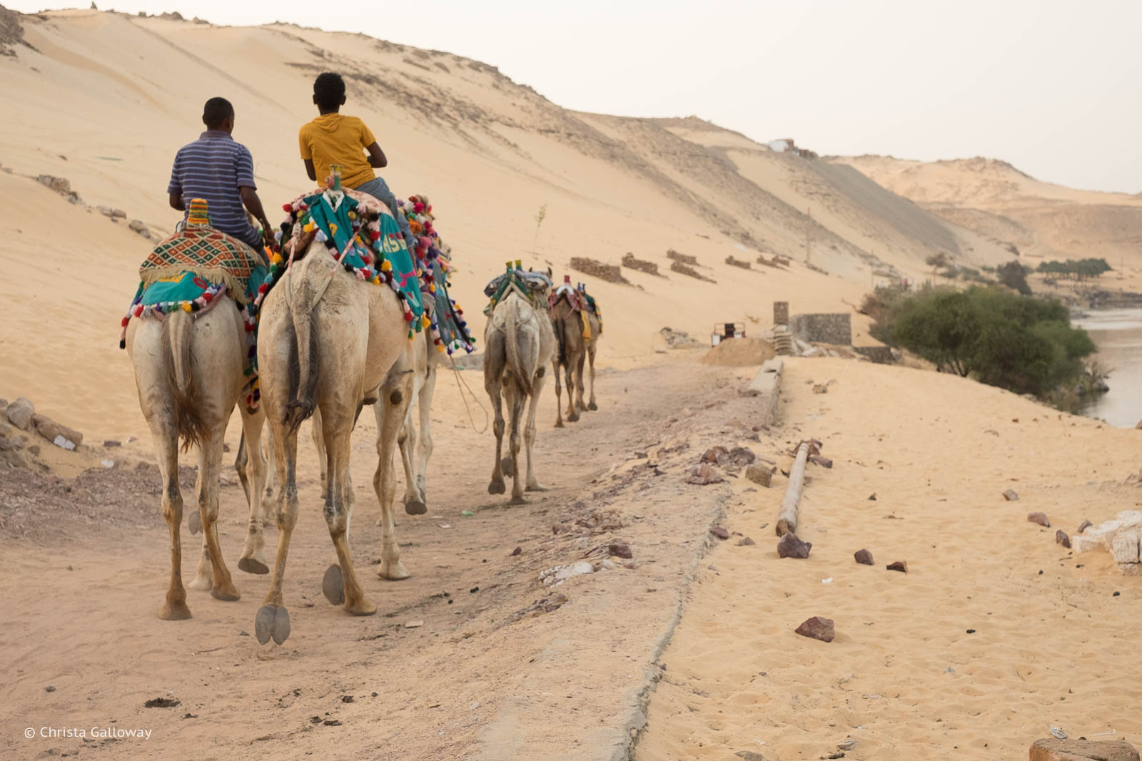 Nubian-Village-Aswan-Egypt-ckgalloway-6136.jpg