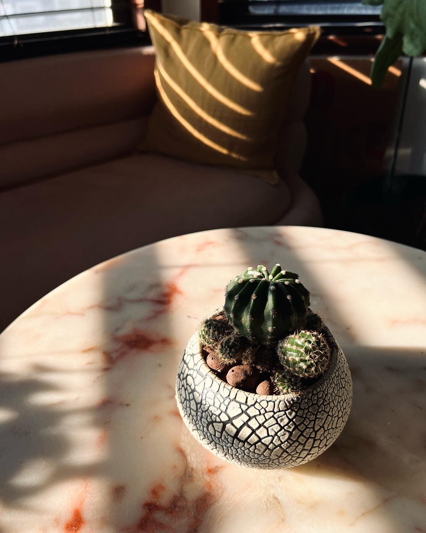 love making cool homes for my plant friends 🌵 
#clay #ceramics #wheelthrown #cactus