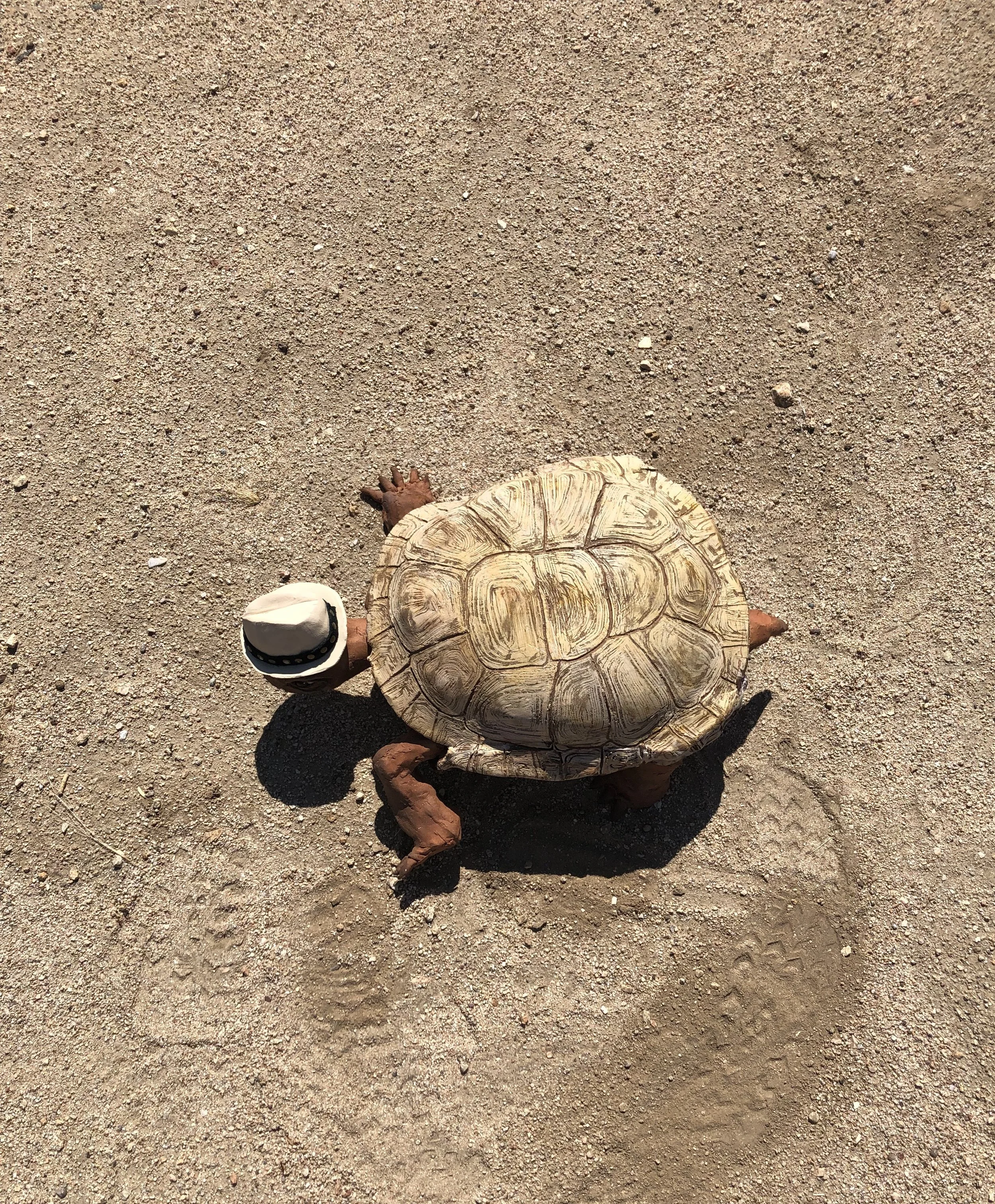 TOMMY OUT FOR A STROLL