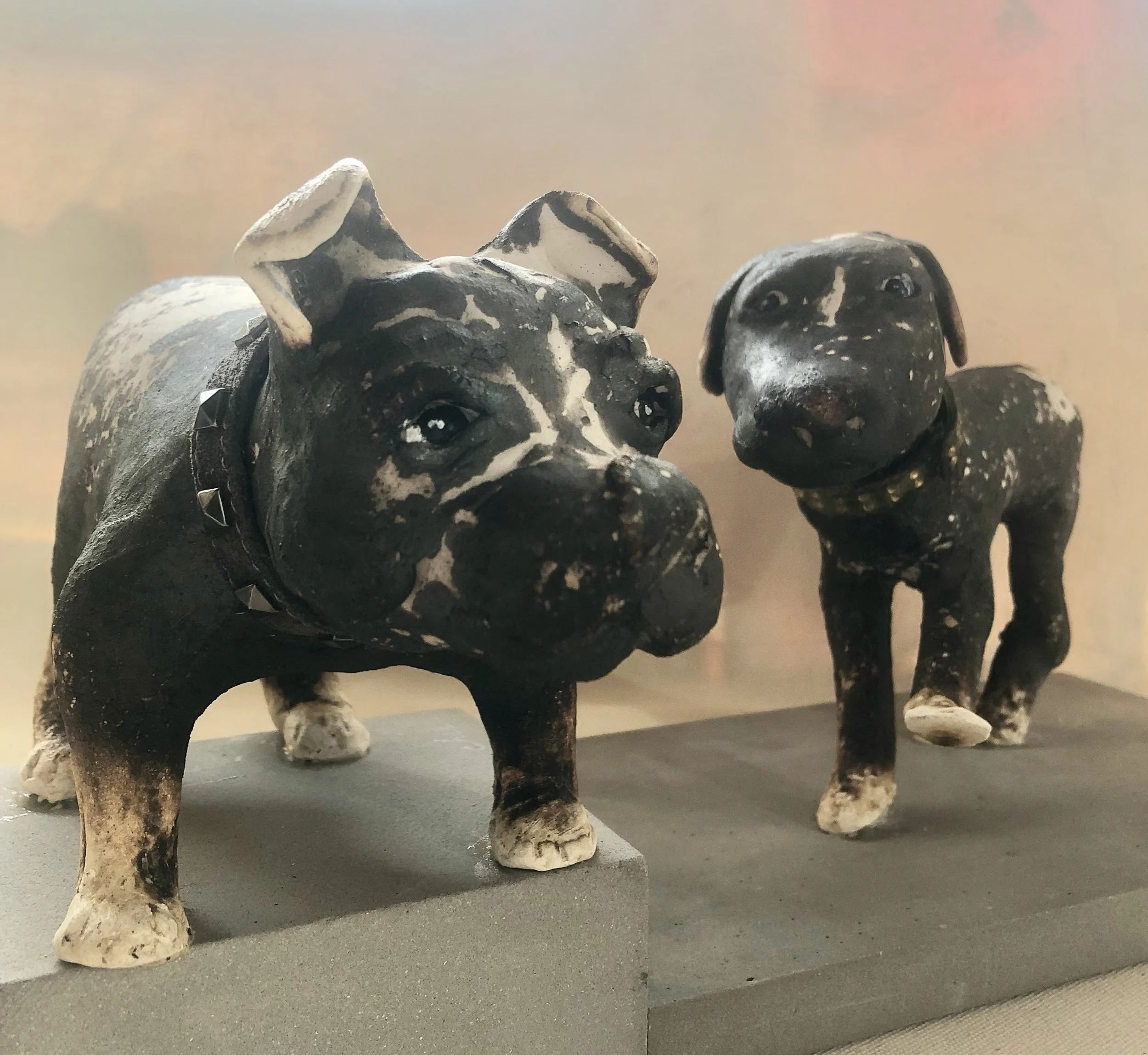 BUTCH (SOLD) AND SETH