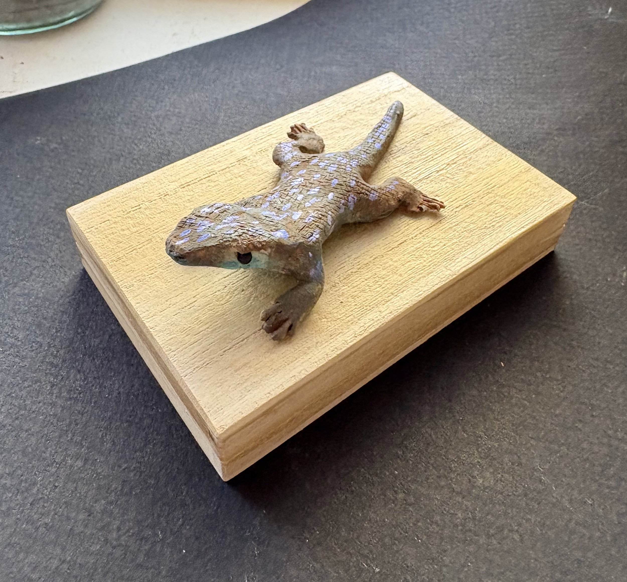 little lizard on a little box