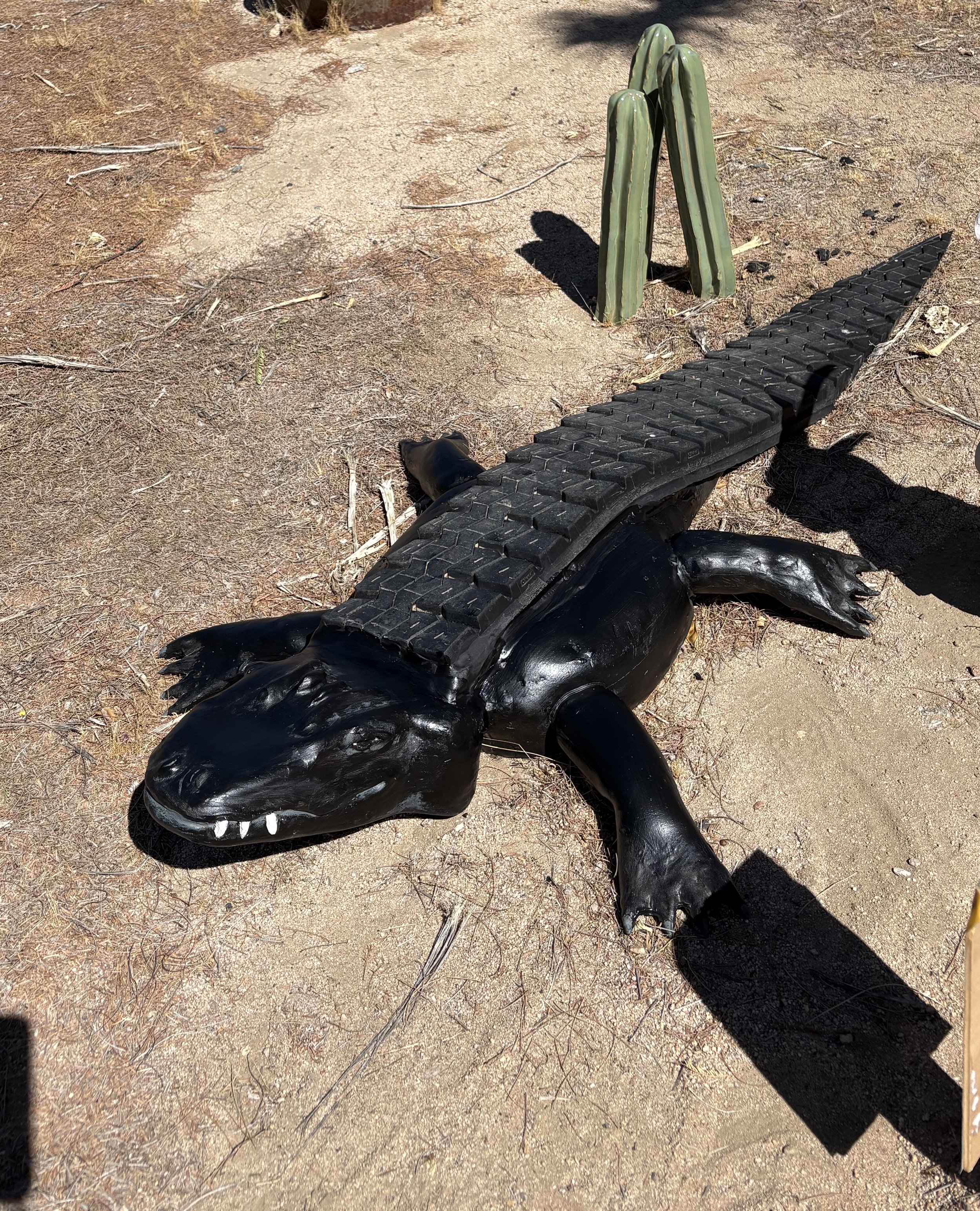 long black tailed alligator