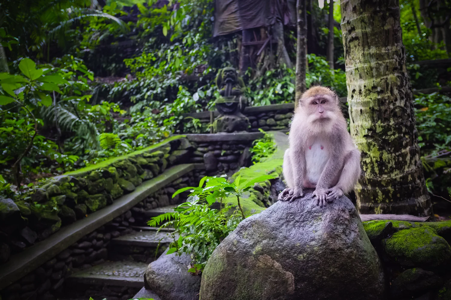 Ubud, Bali