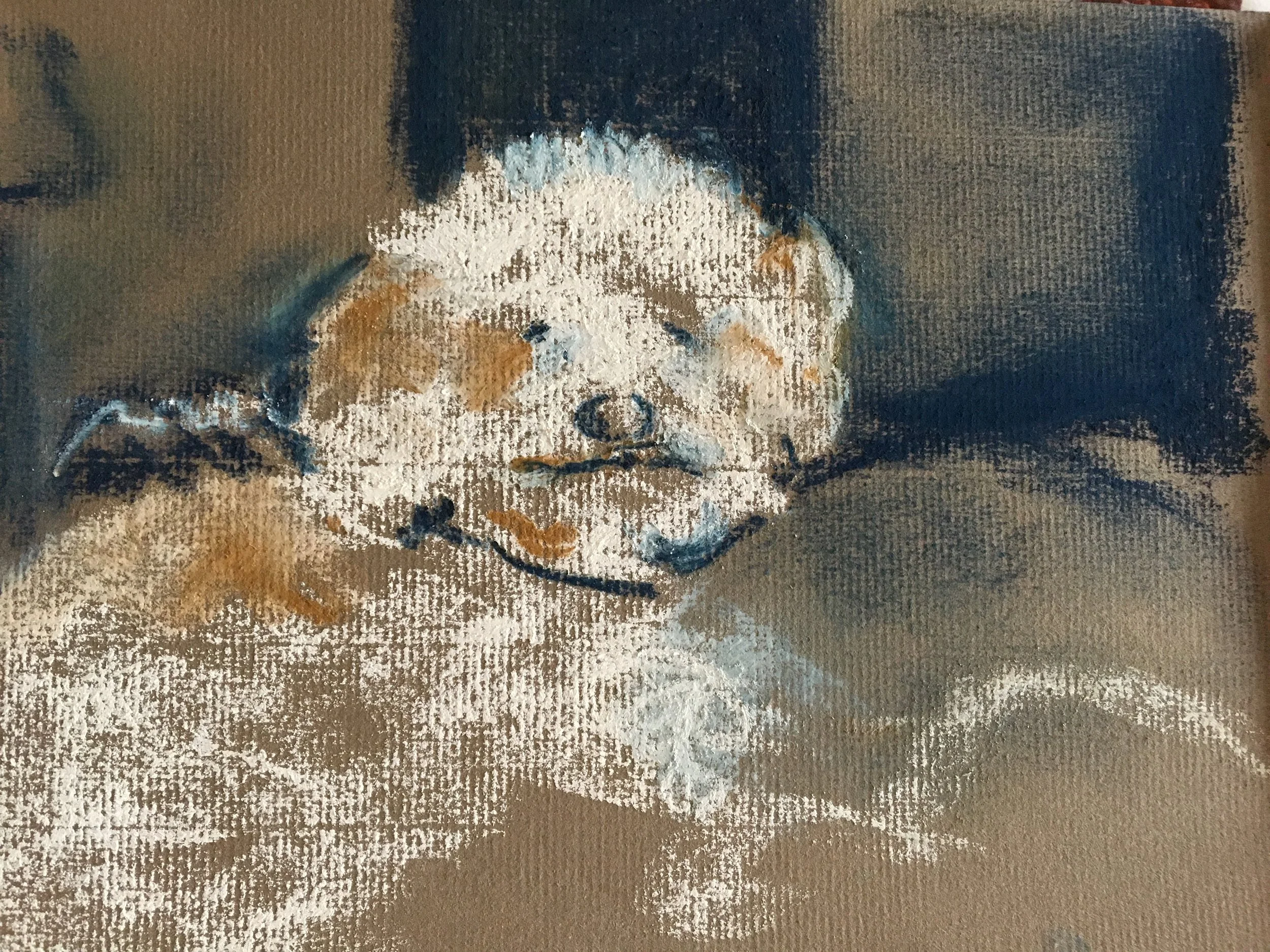 "Dubious Dubi" 6x8 pastel