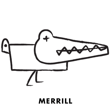 Funny with a great toothy laugh. Always sees the light side of things and makes smiles happen.