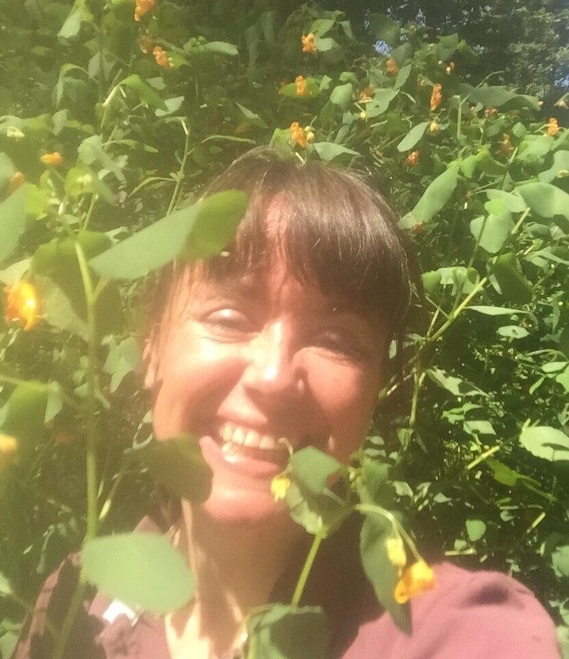 Eva found the mother-load of jewelweed!!