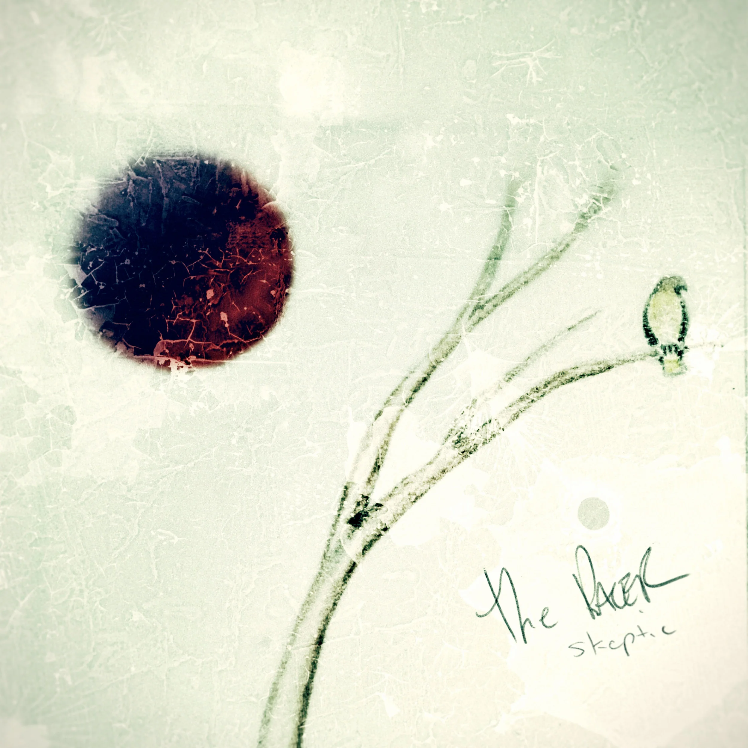 SKEPTIC Single Artwork 3000x3000.jpg
