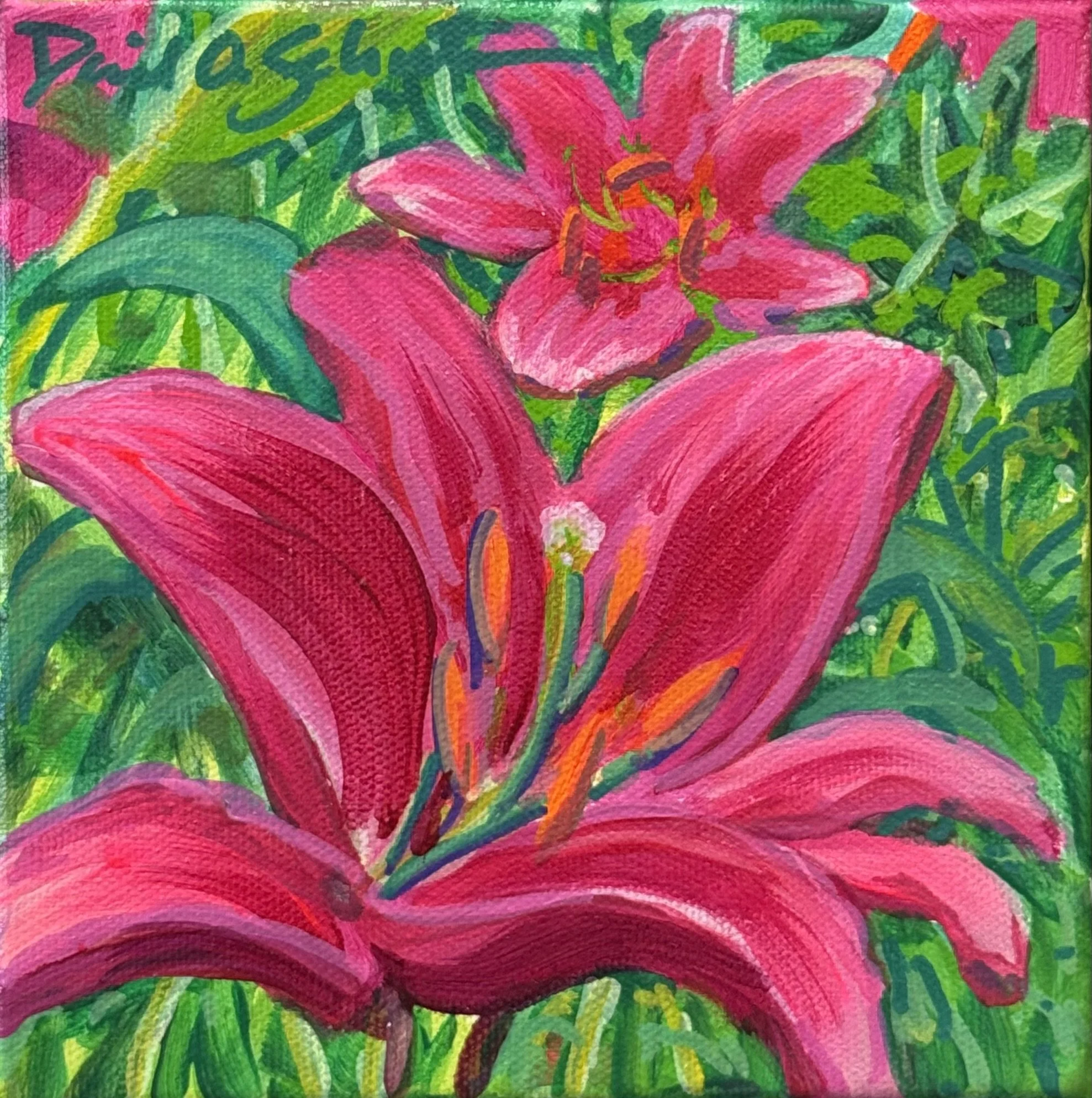 Color Bloom #8