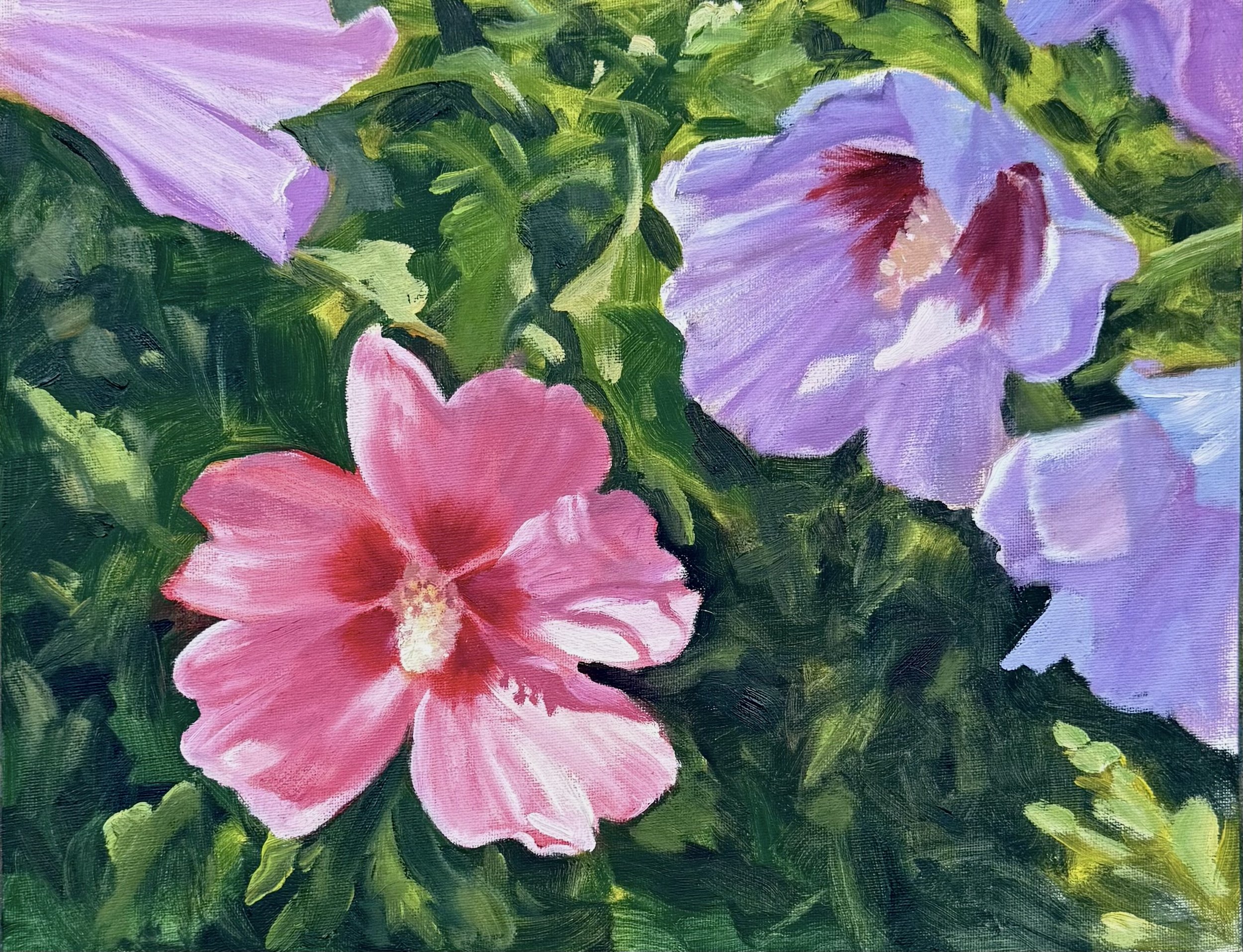 Hibiscus Glowing