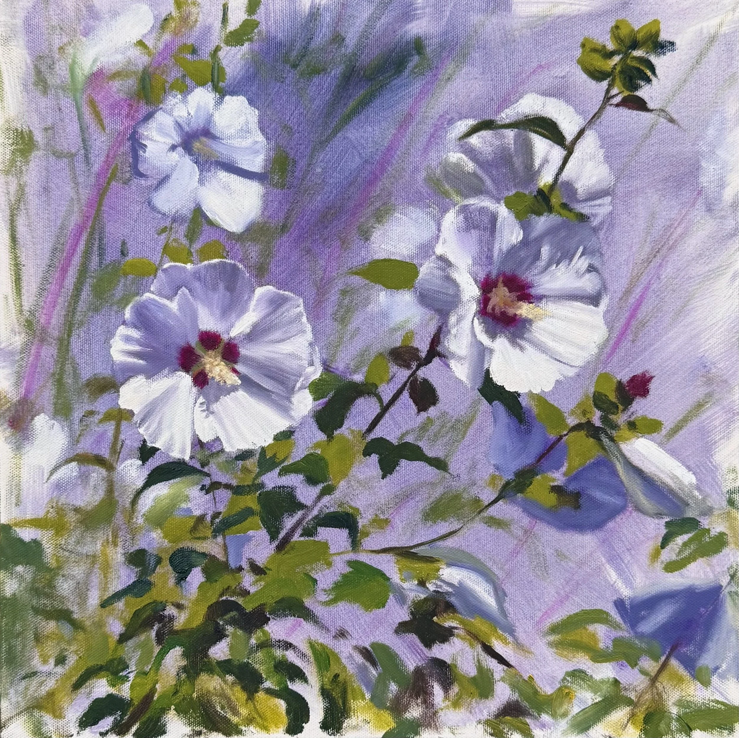 Hibiscus Laughing