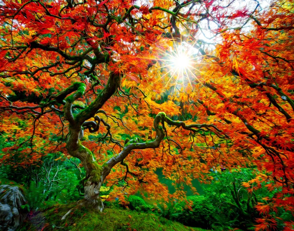 The Tree, Portland Japanese Garden.