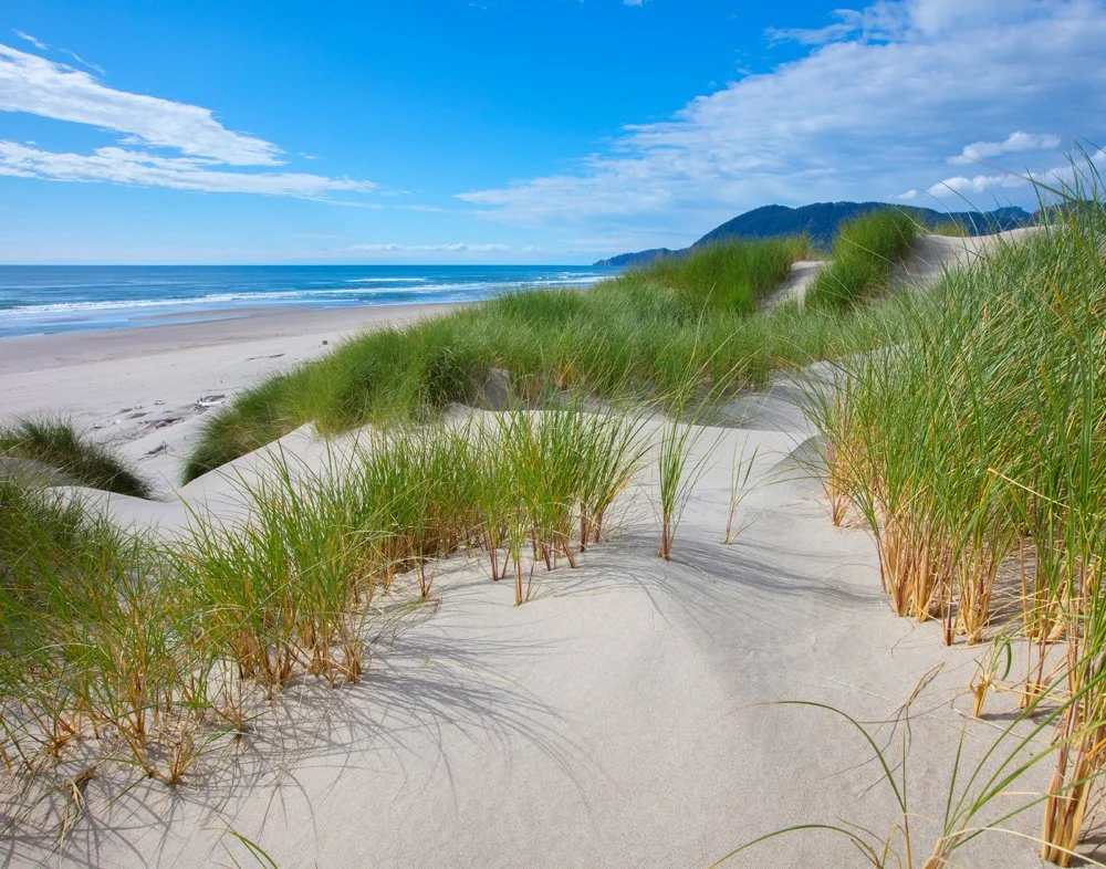 Nehalem Bay State Park