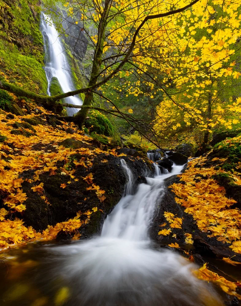 Starvation Creek