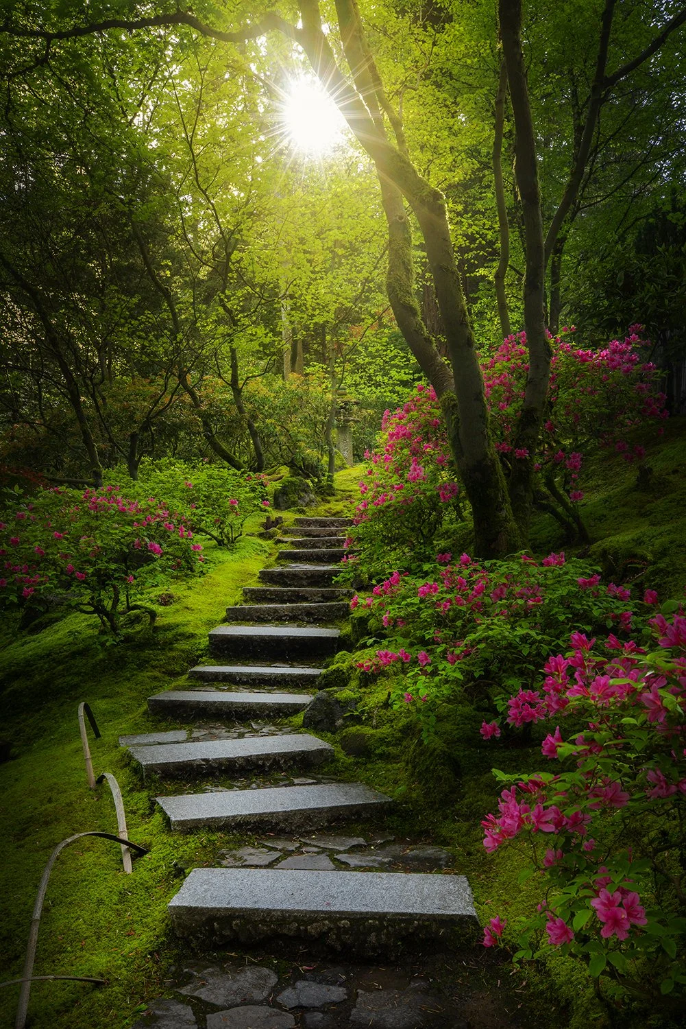 Portland Japanese Garden Steps. 