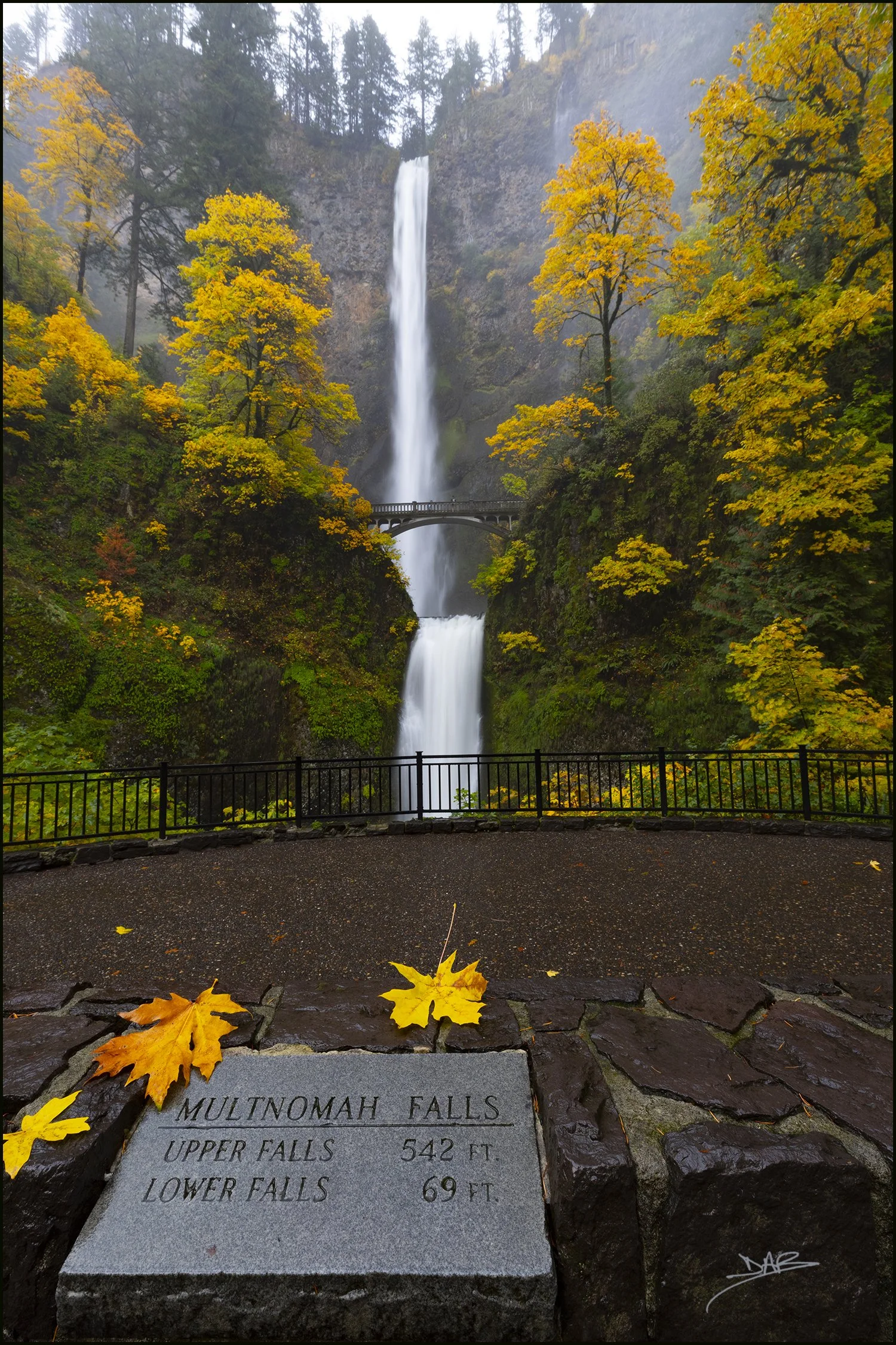 Multnomah23web-22.jpg