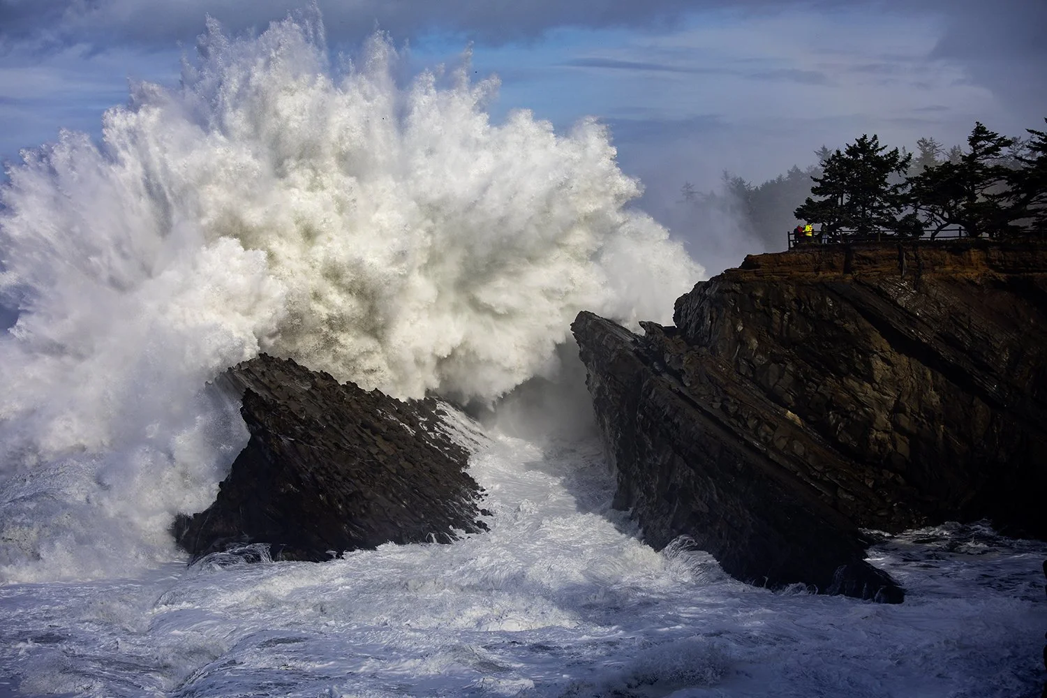oregonwaves1-web.jpg