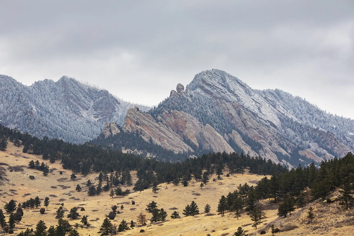 Flatiron_01-web.jpg