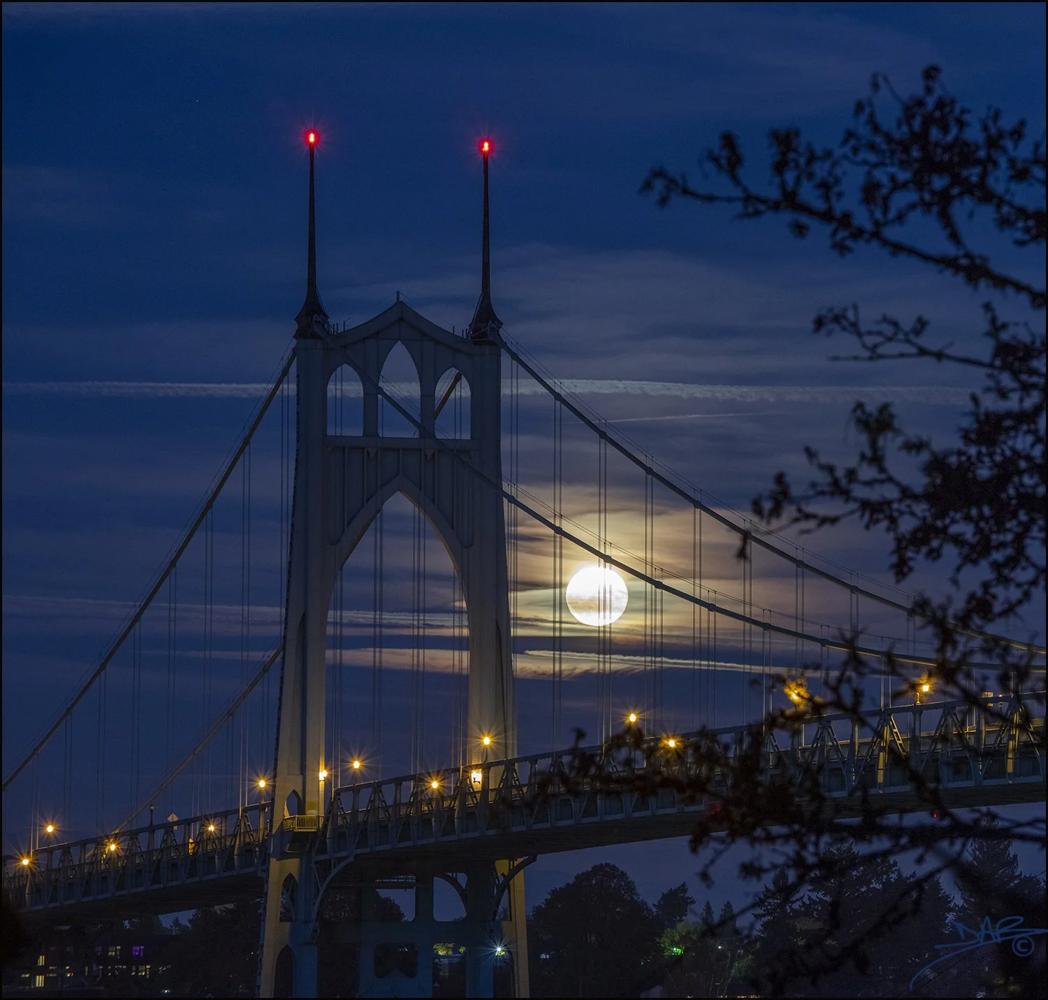 bluemoon1web.jpg
