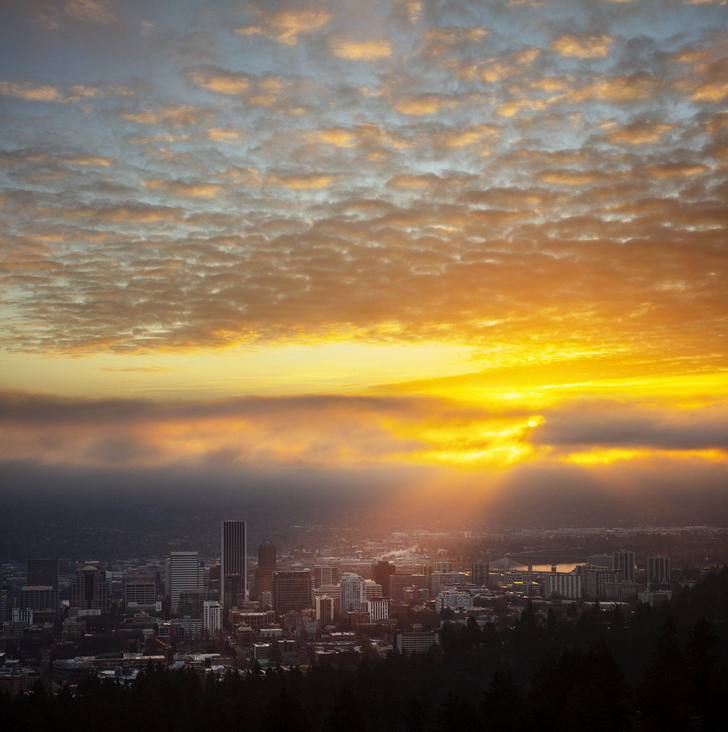 pdxsunrise2.jpg