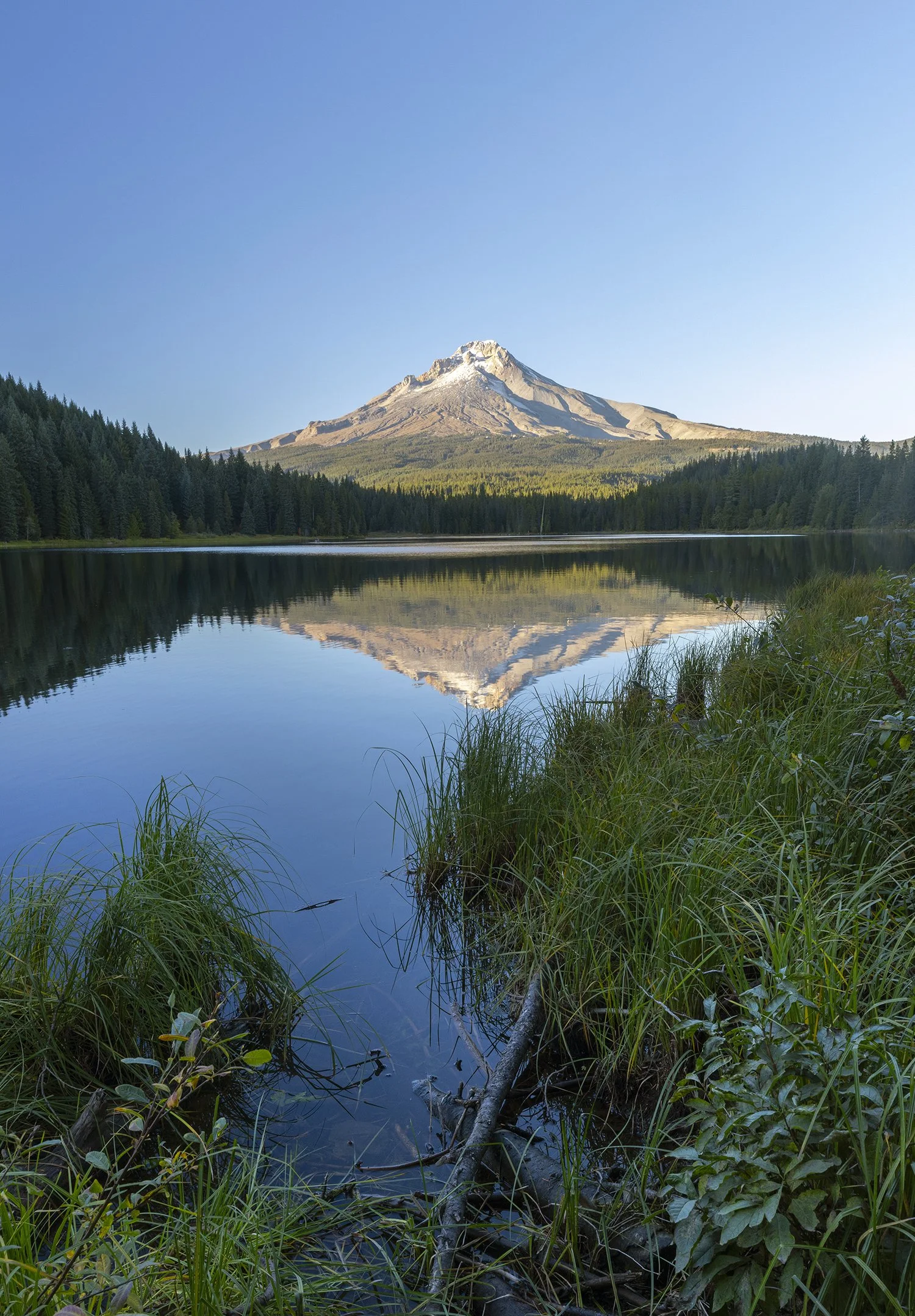 TrilliumLake23_01_web.jpg