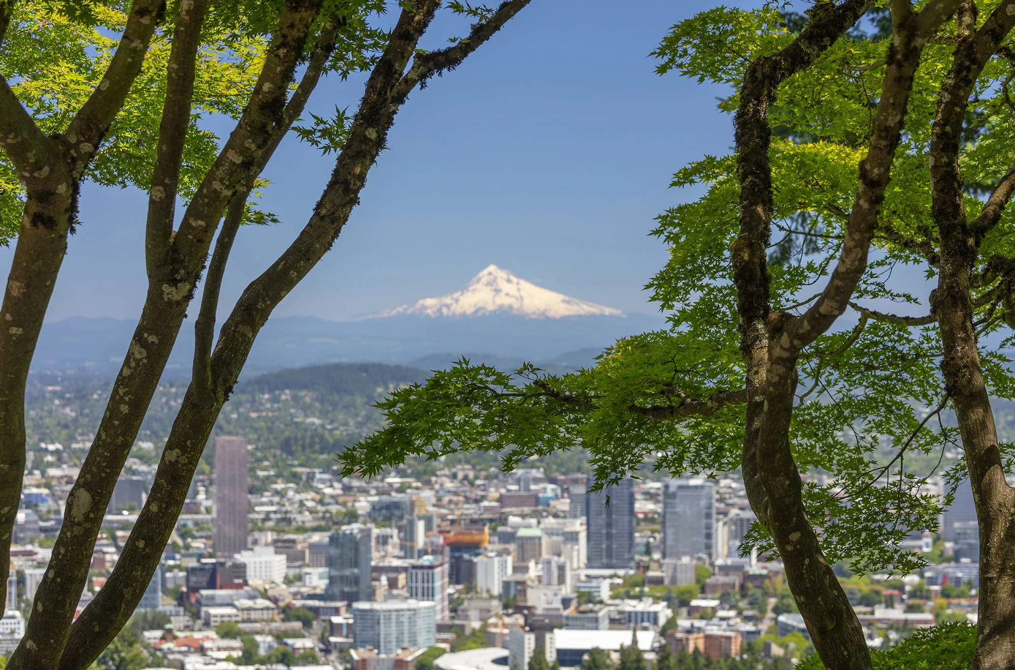 PDX21_01_web.jpg