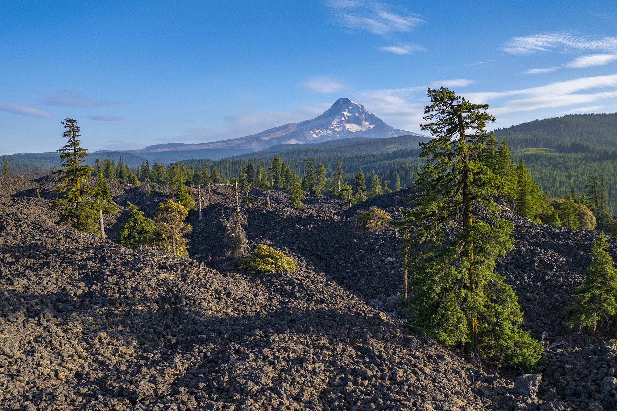 lavamthood_web.jpg
