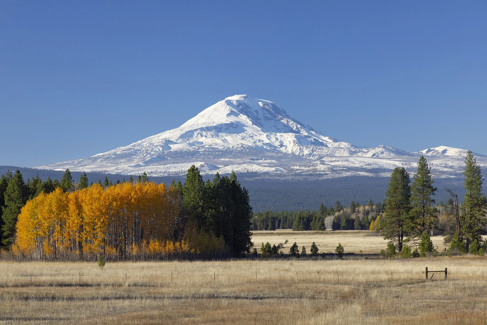 MtAdams2_web.jpg