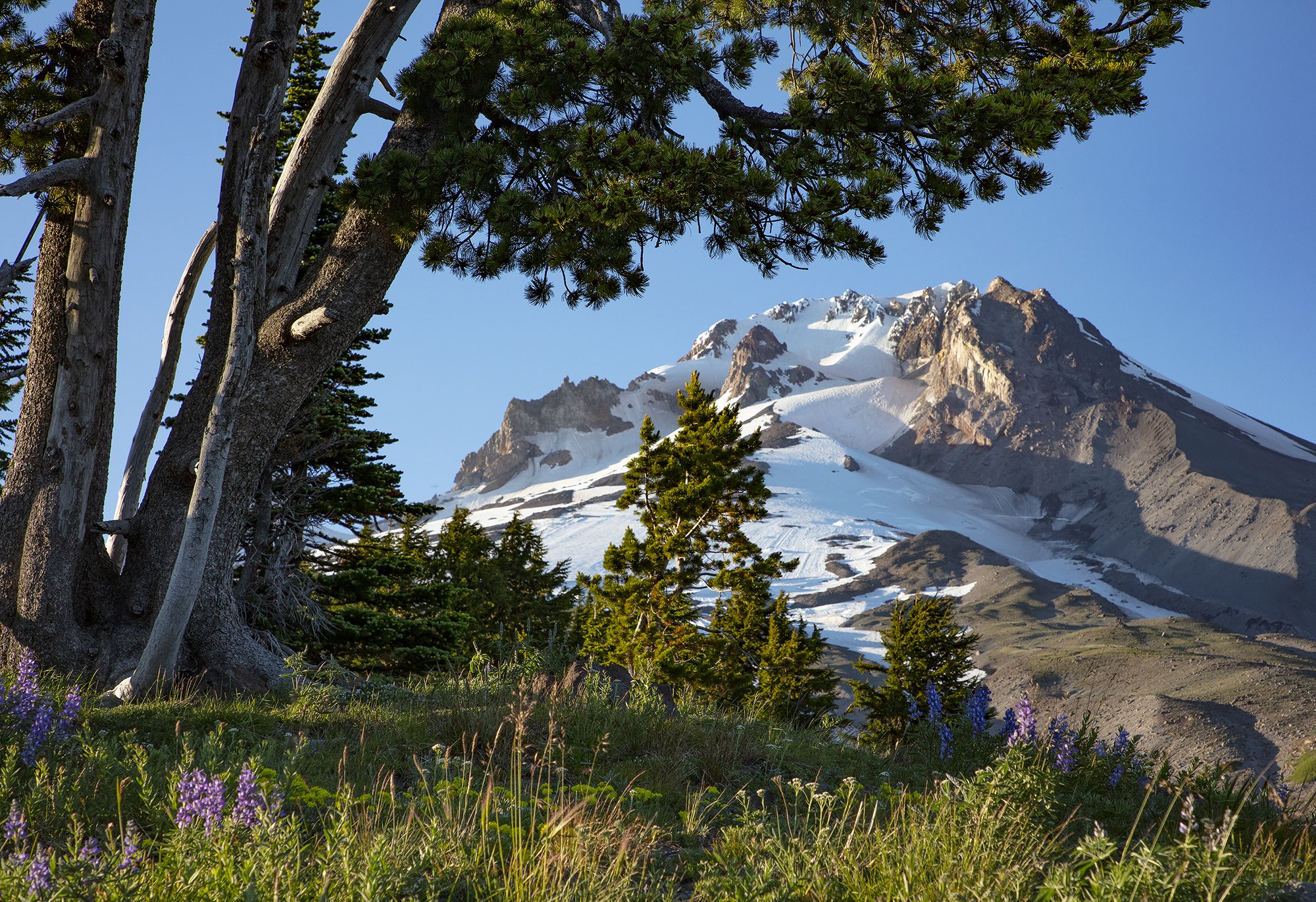 MtHood20_03.jpg
