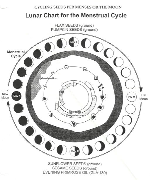 Menstrual Cycle Moon Chart